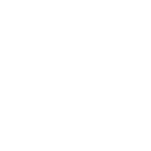 Future Investment Initiative 
